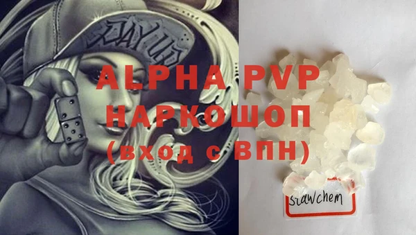 стаф Абинск