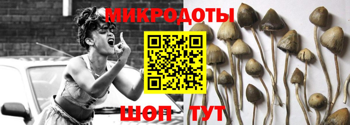 Псилоцибиновые грибы Psilocybe  Псилоцибиновые грибы Psilocybe  Вход с VPN  Псков 